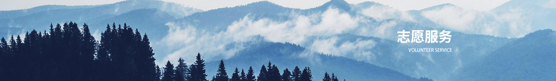 志愿服务